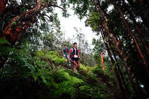 BIB: 
                            <button type="button" onclick="openModal(26203451)" class="btn btn-primary btn-sm float-right btn-popup" data-toggle="modal" data-target=".modal-high-quality">
                        <i class="fas fa-shopping-cart"></i> Add to Cart
                    </button>
                                            <button type="button" onclick="isThisMe(26203451, true)" class="btn btn-success btn-sm float-right btn-popup btn-isme hidden" data-toggle="tooltip" data-placement="bottom" title="นี่คือรูปของคุณใช่ไหม คลิกที่นี่เพื่อเอาเข้าอัลบั้ม">
                        <i class="fas fa-plus"></i> Add to album
                    </button>
                    <button type="button" onclick="isThisMe(26203451, false)" class="btn btn-warning btn-sm float-right btn-popup btn-isnotme hidden">
                        <i class="fas fa-ban"></i> Remove from album
                    </button>